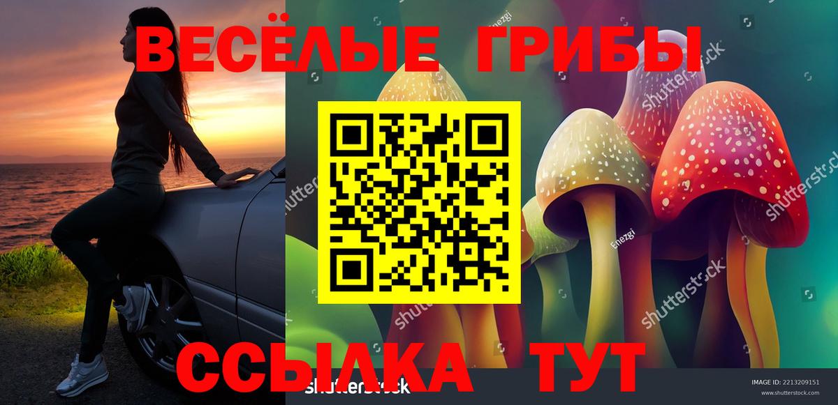 Псилоцибиновые грибы прущие грибы  Галлюциногенные грибы Magic Shrooms  Вход с VPN  Ангарск 